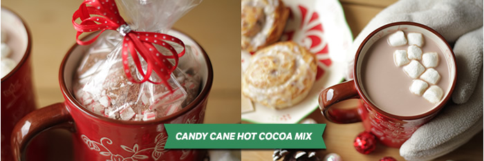 Candy Cane Hot Cocoa Mix